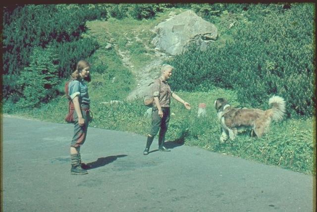 Moko 1969, Hanka Szymanke, Janka Mierzejewska, Bari
