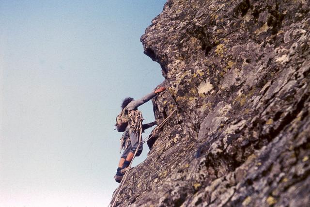 Galeria Gankowa 1975, foto Mysza