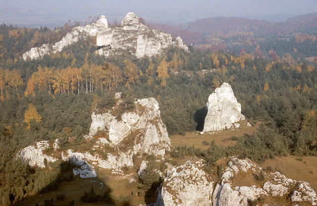 Zborow1980