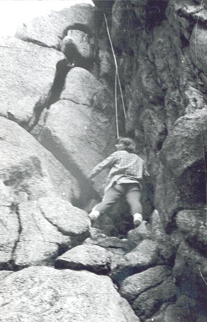 sokoliki80