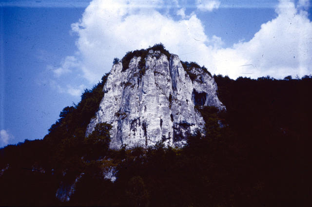 0174_Sokolica