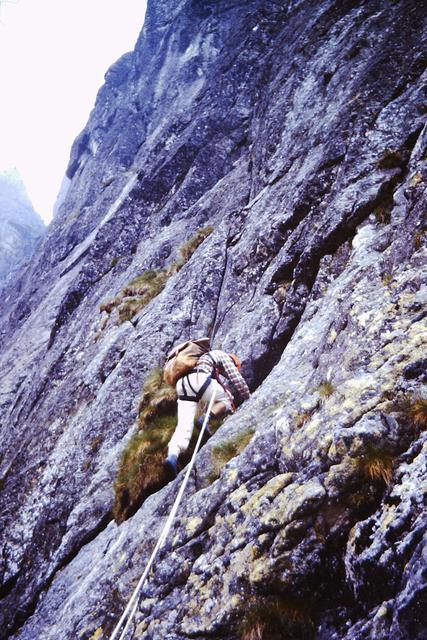 Żabi Mnich Heinrich 1984