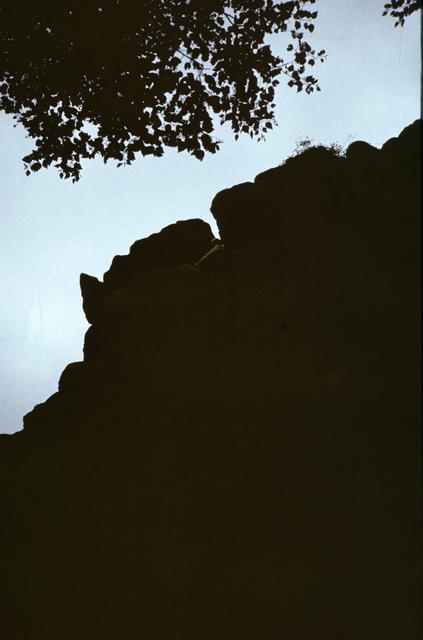 0015