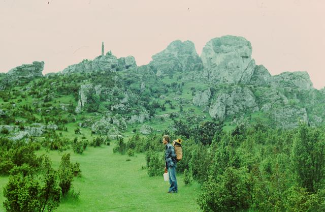 Rysiek, Jura lato 79 Góra Zborów