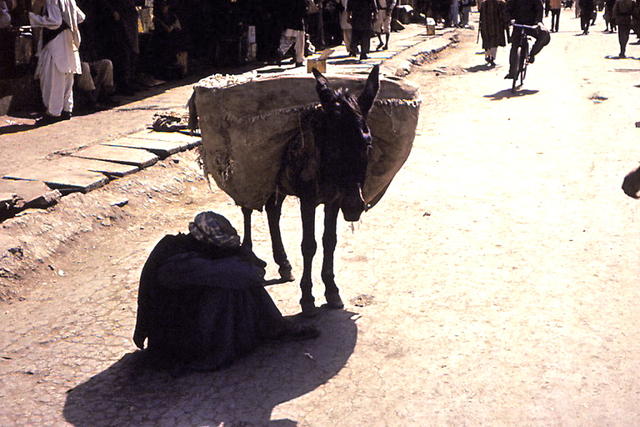 59 / kabul , czas sjesty i cierpliwosci