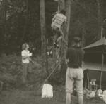 01 / wojtek myszkowski w rakach i czekanami wspina sie na drzewo , stoja strzelski i bieniek . chamonix 75