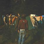 17 /  Dolomity - Kamping - tylem Łysy, bokiem Drzewus