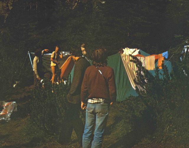 17 /  Dolomity - Kamping - tylem Łysy, bokiem Drzewus